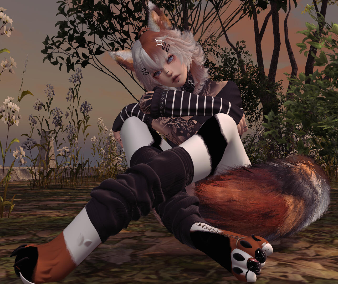 Calico for Peets Refurred